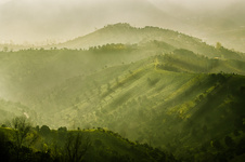hamidreza dastjerdi-8-23.jpg